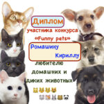 Итоги конкурса «Funny pets»