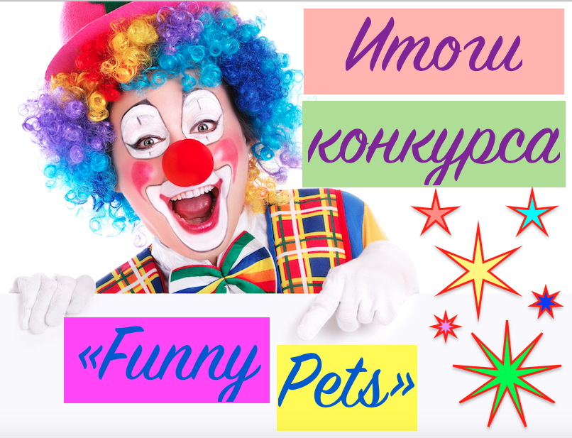 Итоги конкурса «Funny pets»
